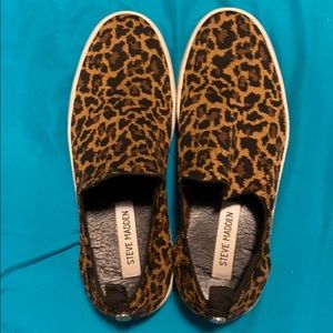 Steven Madden Leopard Darayl tennis shoe